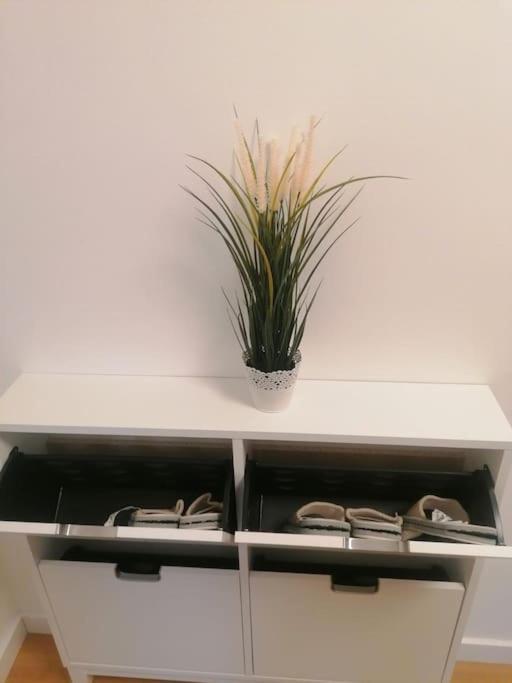 Apartment Green Lux เบลเกรด ภายนอก รูปภาพ